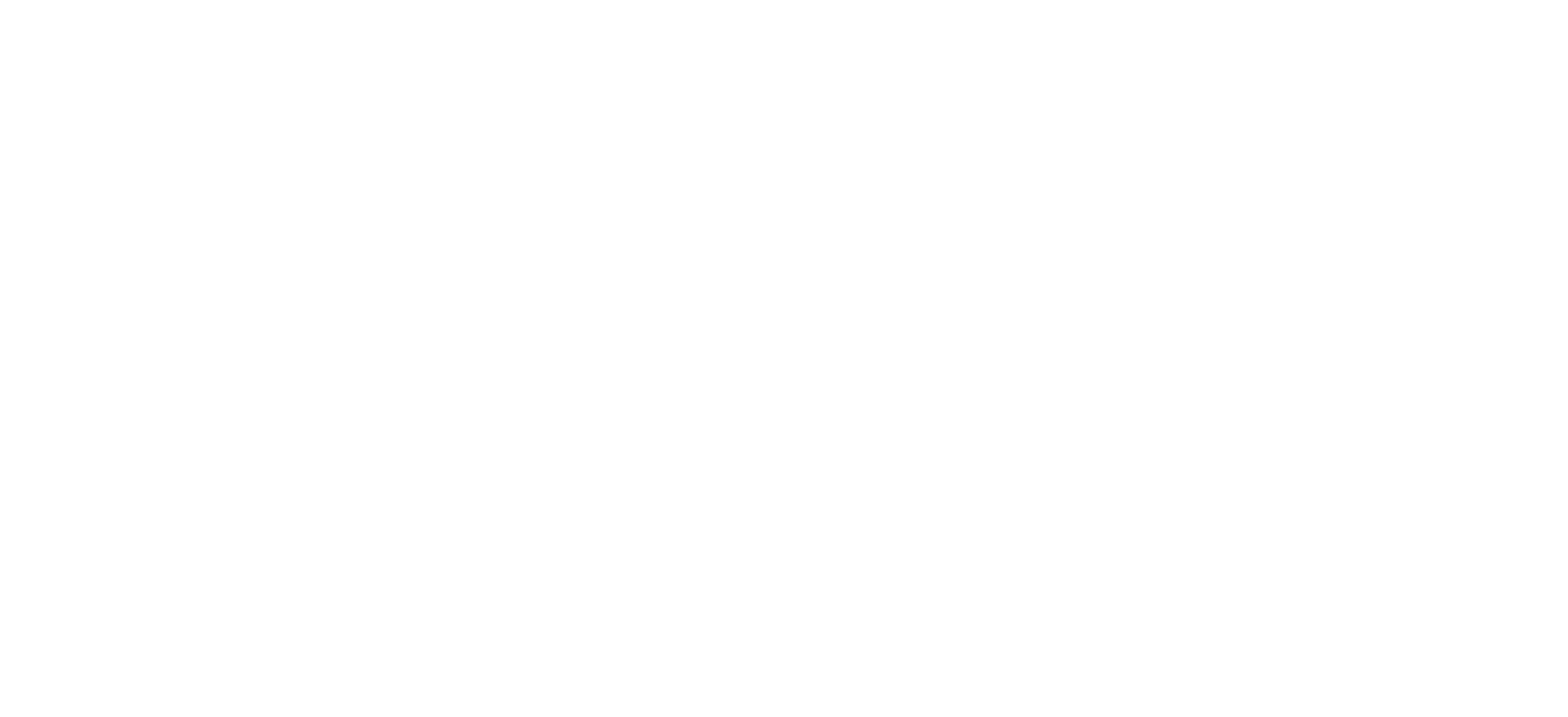 Logo White — downloadable media asset from the Patrick Kapenga for District 89 campaign